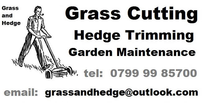 lawn mowing ilminster